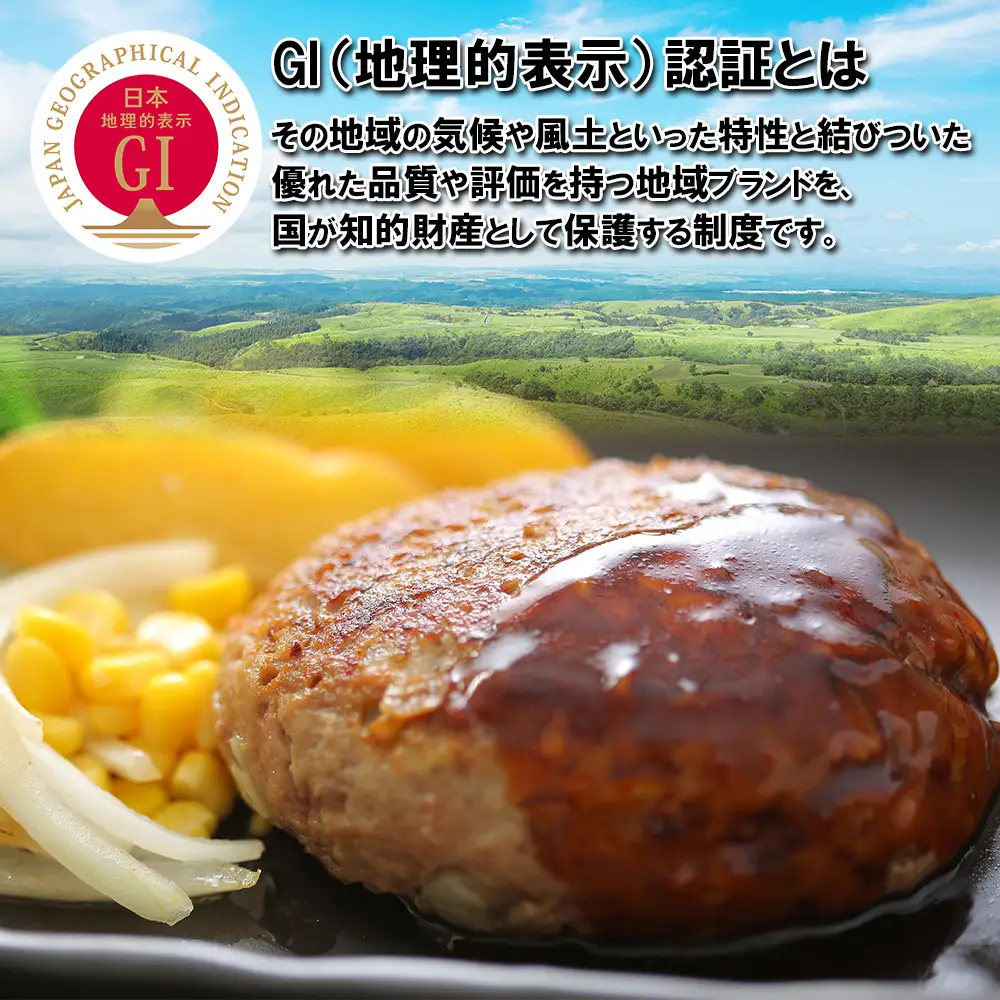 GI認証 あか牛 ハンバーグ 《ご家庭用》 150g×10パック