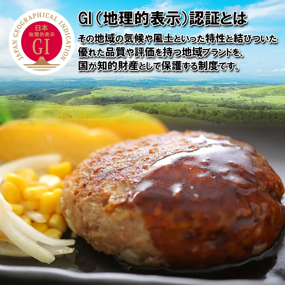 GI認証 あか牛 ハンバーグ 《贈答用》 150g×10パック