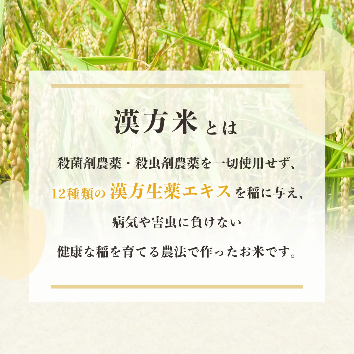【定期便】新米 玄米 ５kg×３回 15kg 健方米 アキサカリ 漢方栽培