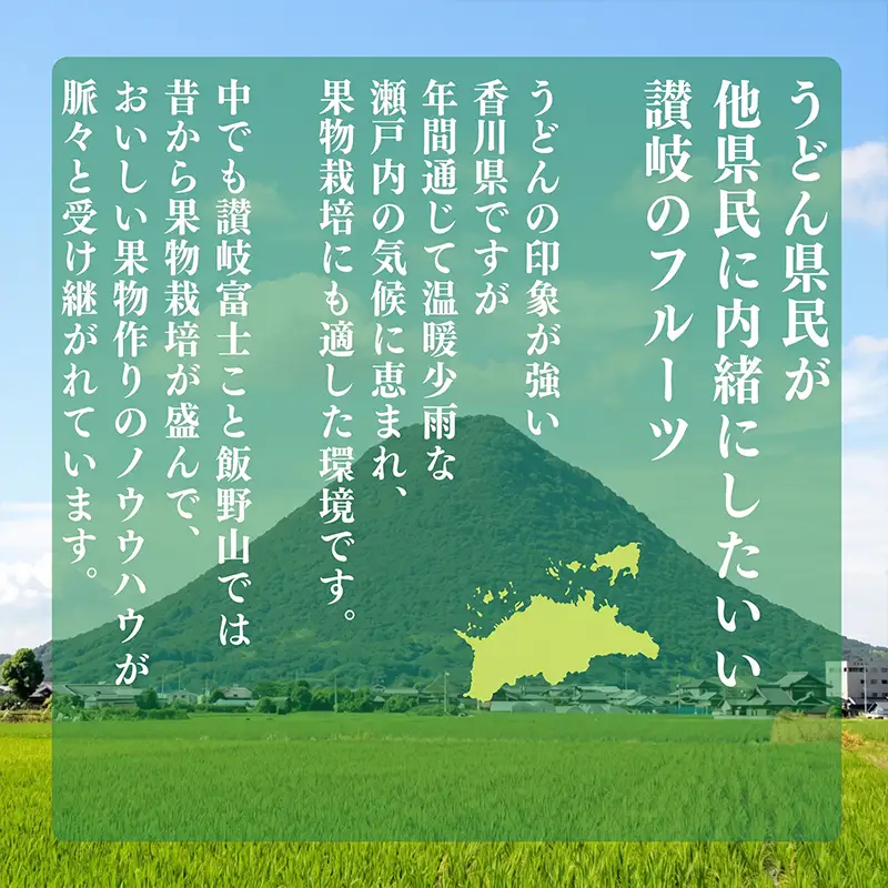 【2027年2月上旬以降発送予定】 いちご 紅ほっぺ 約1kg (250g✕4パック)  いちご