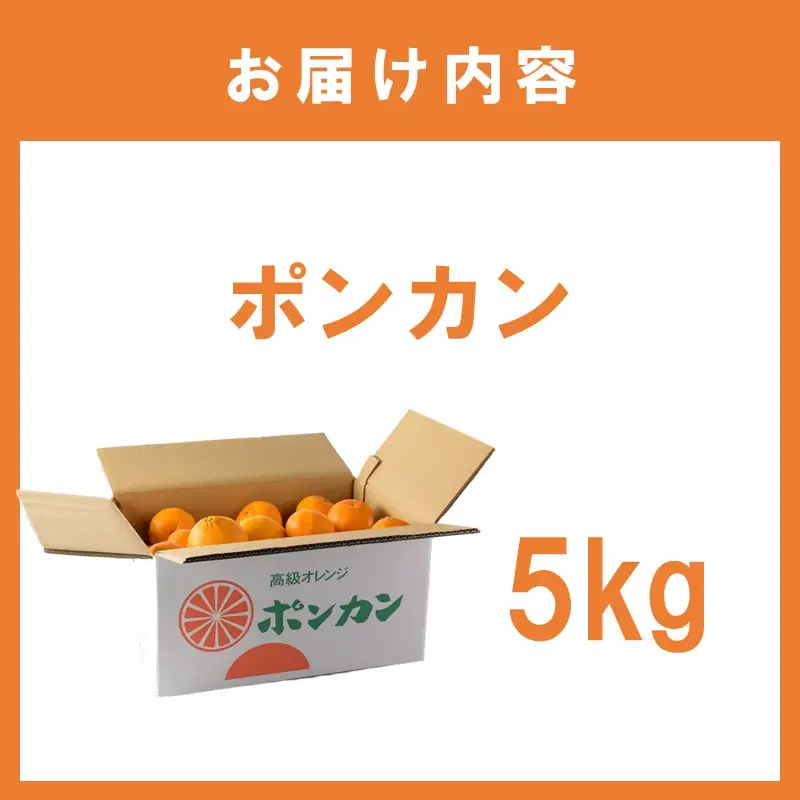 ポンカン 5kg ≪先行予約≫2027年1月頃から順次発送予定【1377】