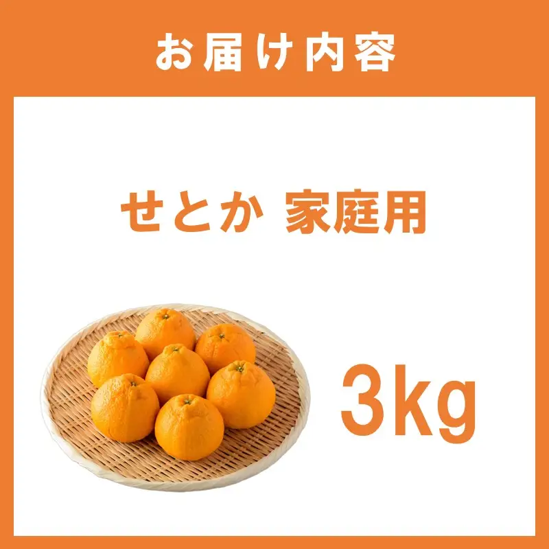 せとか3kg【家庭用】≪先行予約≫2027年2月頃より順次発送予定【1379】