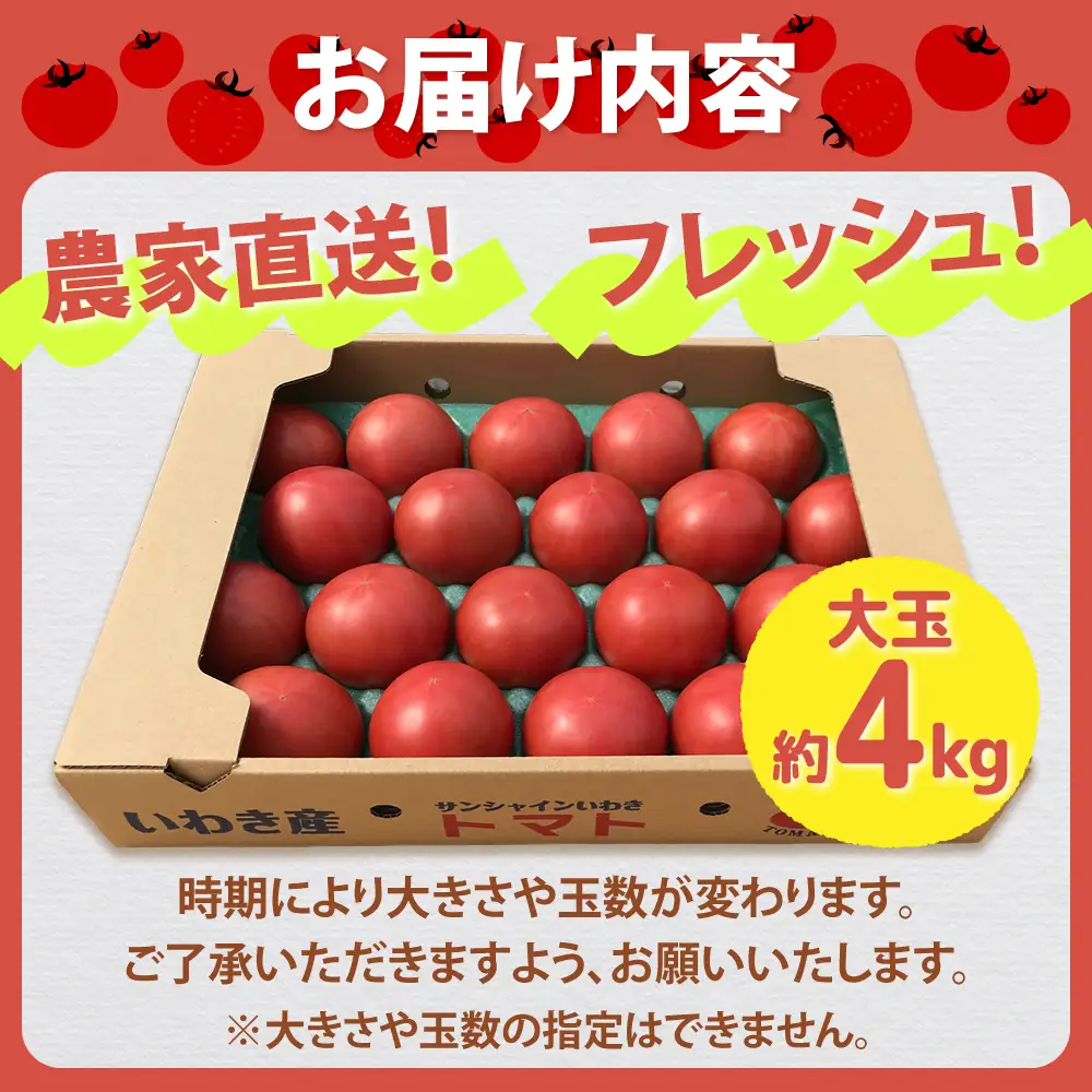 【9月～12月】トマト 大玉 約4kg | トマト 大玉トマト 4kg 国産 いわき市産 産地直送 肉厚 ジューシー 甘い 甘み 酸味 野菜 サラダ 料理 クッキング トマト料理 大玉 大容量 いわき市 | CM004-09-12