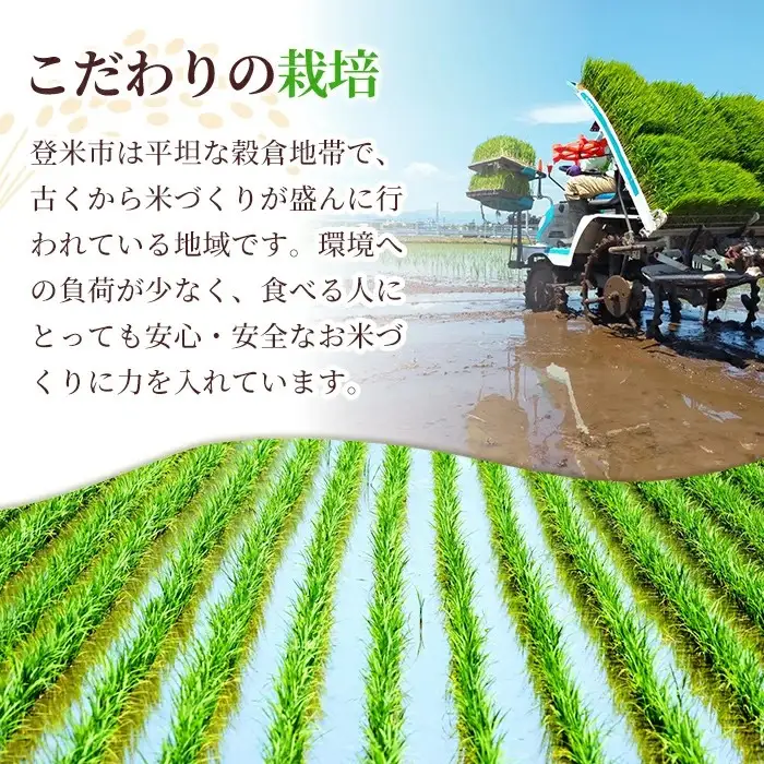 【3回定期便】宮城米 計15kg (5kg×3回配送) ブレンド米 業務用 お米 おこめ 米 コメ 白米 ご飯 ごはん おにぎり お弁当 頒布会 【登米ライスサービス株式会社】tm829