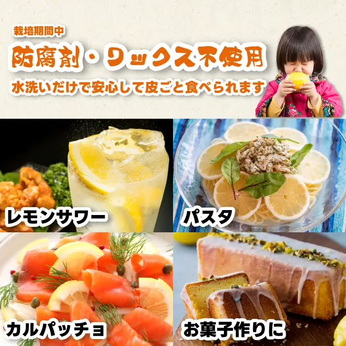 【先行受付】レモン1kg 《栽培期間中：防腐剤・ワックス不使用》2026年12月発送予定 檸檬 柑橘 果物 くだもの フルーツ 瀬戸内 251007