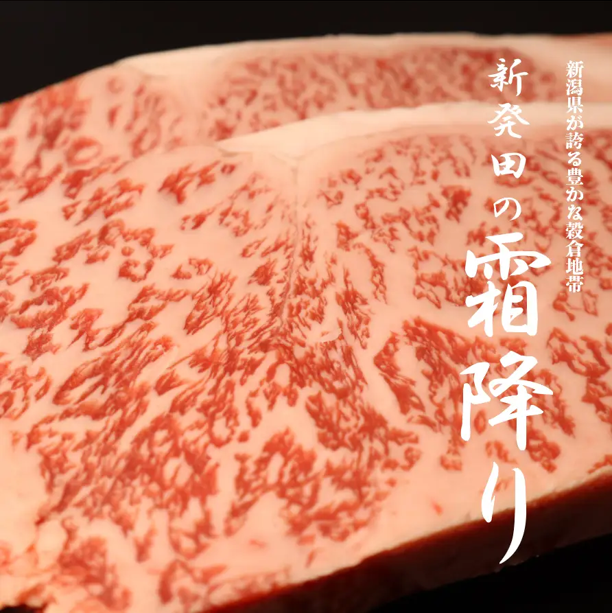 【髙島屋選定品】 サーロイン ステーキ 牛肉 1kg 1000g にいがた和牛 和牛 新発田牛 赤身 焼肉 ふるさと納税 和牛 BBQ バーベキュー キャンプ 特選 贅沢 厳選和牛 ブランド牛 ギフト 贈答 お歳暮 新潟 新潟県 新潟産 新発田 新発田市 新発田産 えのもとミート tenomoto003