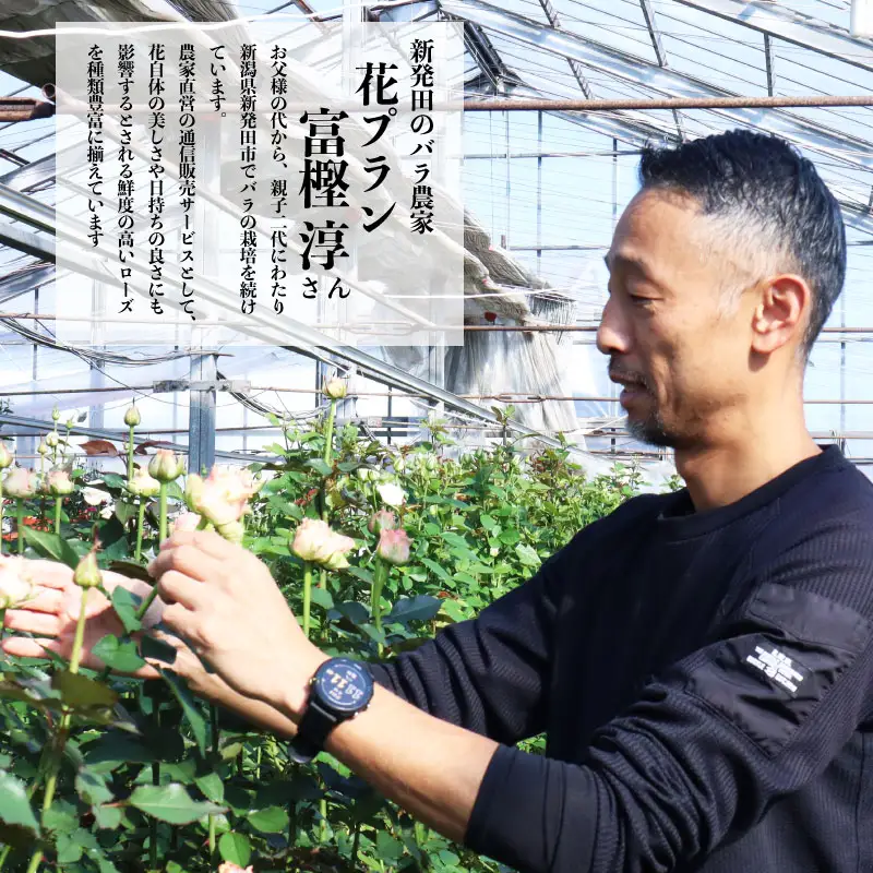 【髙島屋選定品】 花束 バラ おまかせ 50本 花 生花 hana ブーケ 薔薇 ローズ お任せ ミックス MIX 人気 フラワーアレンジメント フラワー 雑貨 インテリア 記念日 誕生日 敬老の日 クリスマス 入学式 卒業式 ギフト プレゼント 生産者 直送 日時指定可 新潟県 新潟 新発田 tplan003