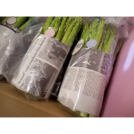 【令和9年産先行予約】 アスパラガス (春芽) 約1kg (4Lサイズ 約20本前後) 《令和9年5月～発送》 『生産者 吉田 太一』 山形南陽産 農家直送 山形県 南陽市 [1951]