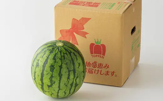 【2027年5月上旬から5月下旬発送】 熊本県産 小玉すいか1玉 1.5kg以上 すいか スイカ 西瓜 くだもの 果物 フルーツ 国産