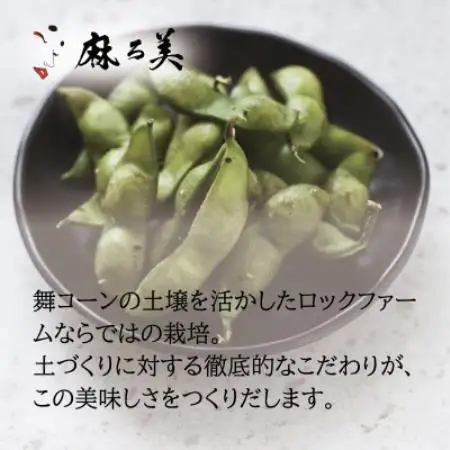 京都府産 黒枝豆 麻ろ美BOX 約1kg(500g×2袋)　ロックファーム京都【配送不可地域：離島・北海道・沖縄県】【1781152】