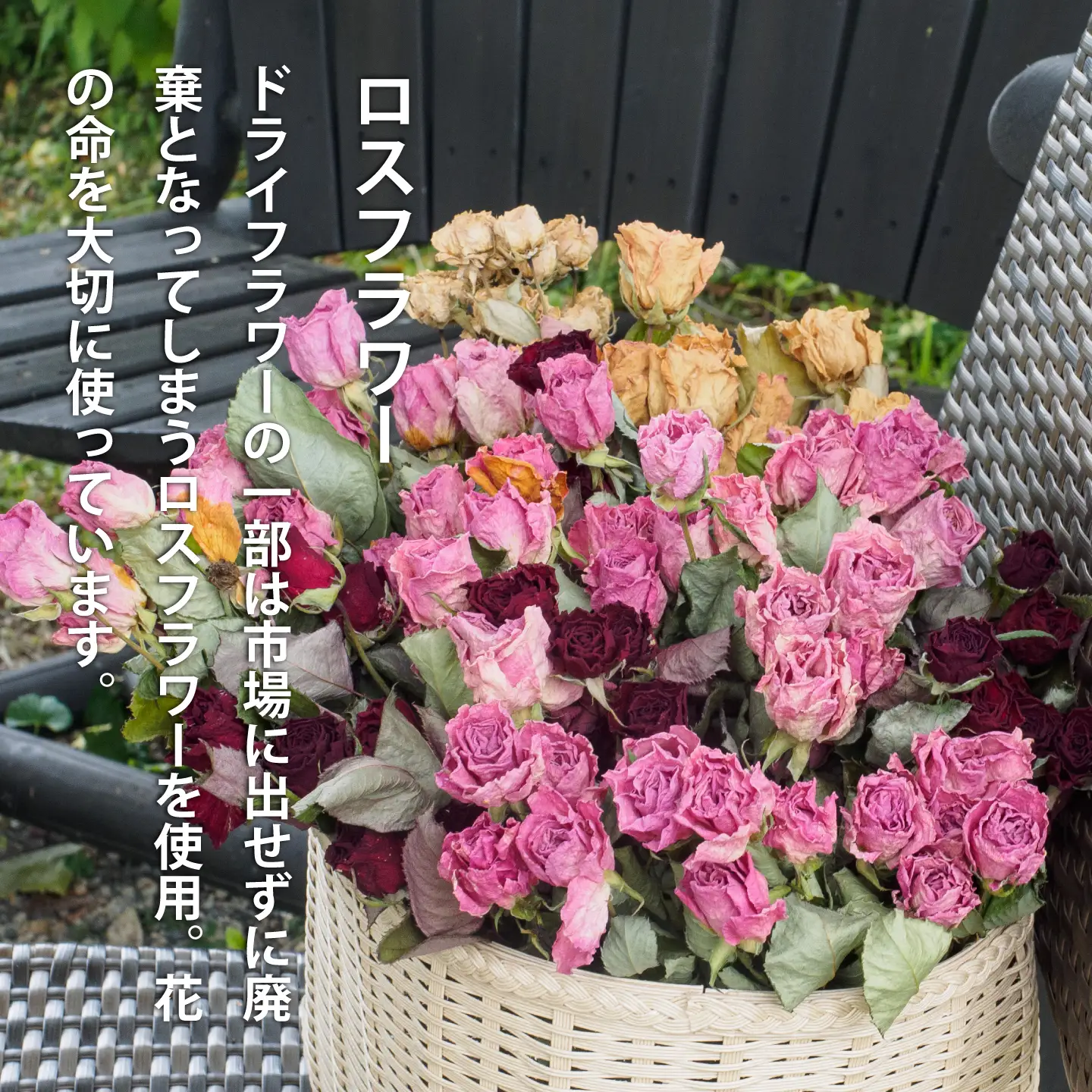 ロスフラワーを使用　ドライフラワーリース　ＳＤＧｓ　Rural garden　ルーラルガーデン 当麻町 北海道