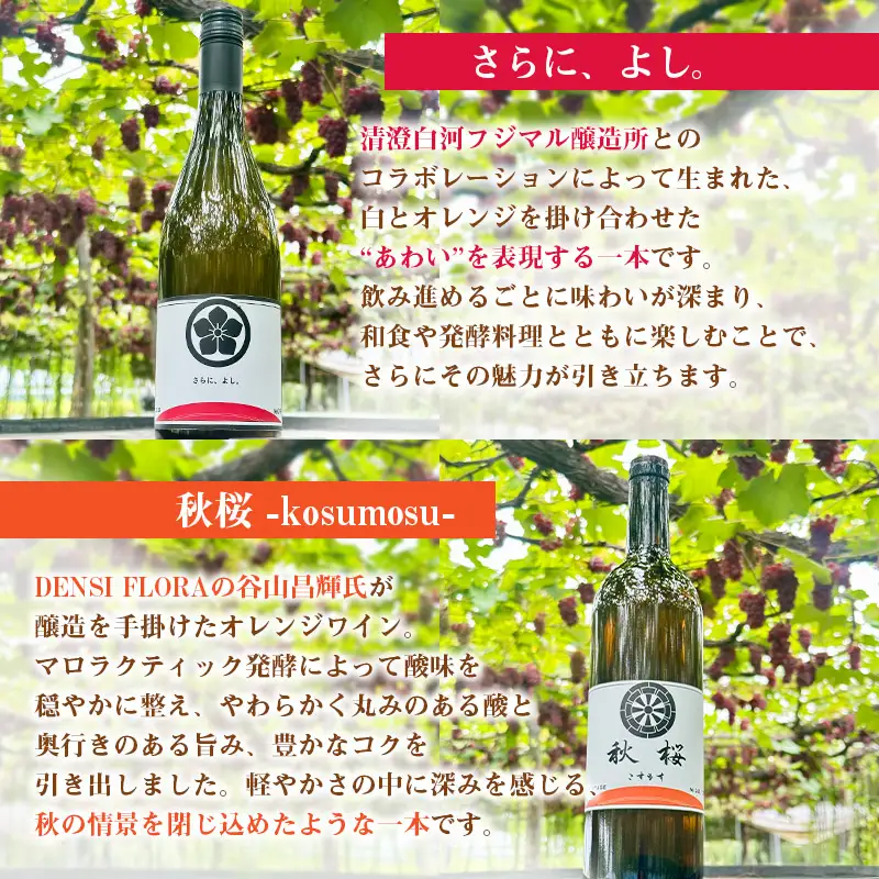 山形市産 ぶどうワイン飲み比べセット「さらに、よし｡」「秋桜 -kosumosu-」2本組 FY26-276