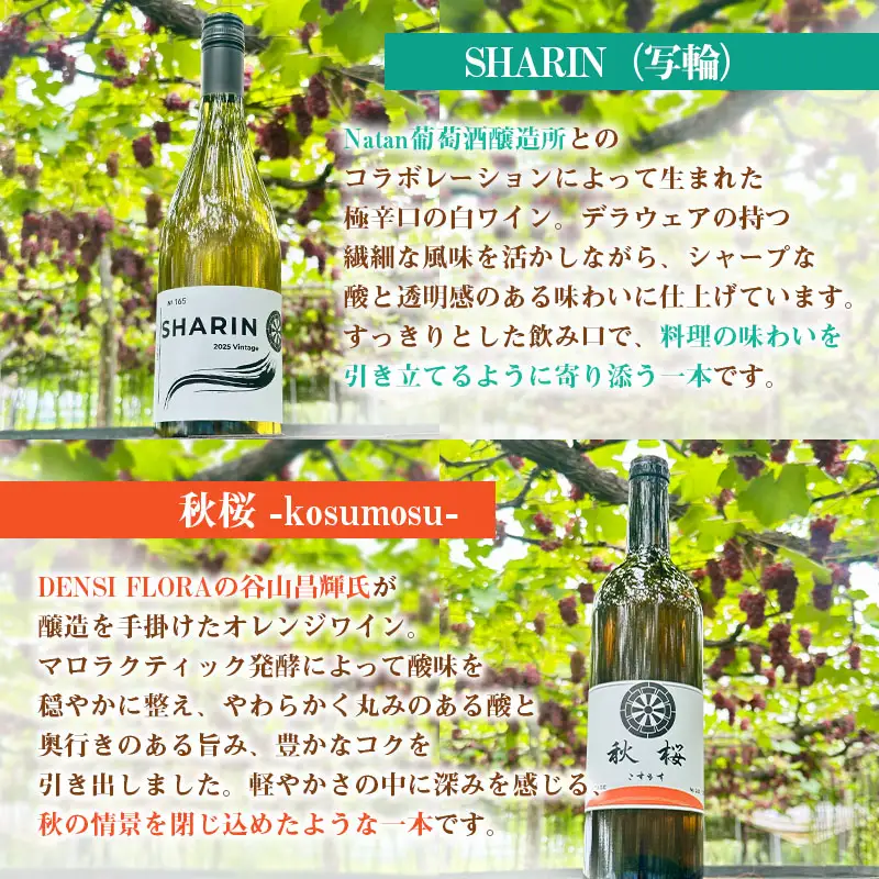 山形市産ワイン飲み比べセット「SHARIN（写輪）」「秋桜 -kosumosu-」2本組 FY26-277