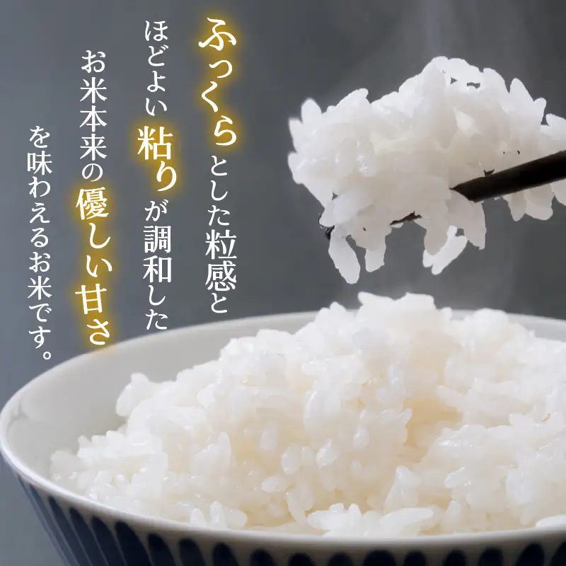 いちほまれ 15kg 精米 定期便 いちほまれ