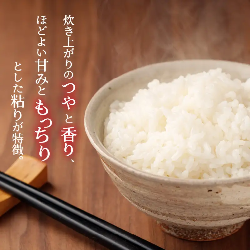 コシヒカリ 30kg 精米 定期便 コシヒカリ