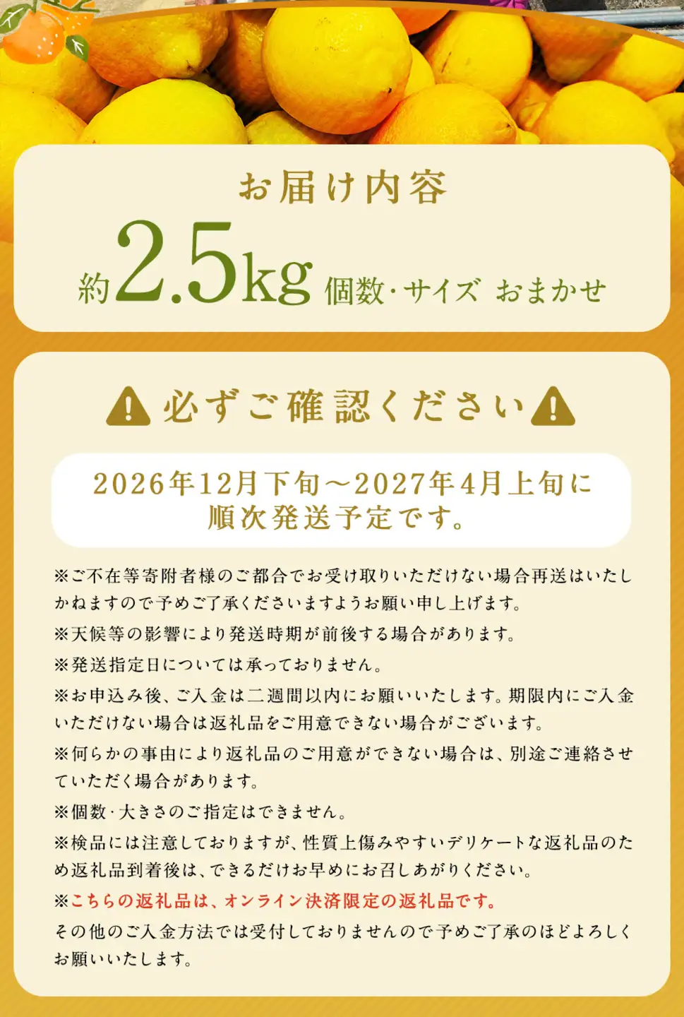長崎産レモン 約2.5kg （ 個数 ・ サイズ おまかせ ）レモン 檸檬 れもん 果実 果物 フルーツ デザート リフレッシュ 調味料 クエン酸 料理 白湯 リモネン 【 2026年12月下旬～2027年4月上旬まで順次発送予定 】