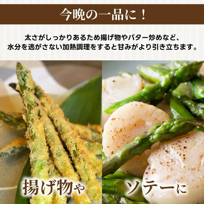 《2027年2月中旬発送》春芽アスパラガス 約1kg （約200g×5袋） 先行受付 アスパラ あすぱら グリーンアスパラ 春芽 甘い 新鮮 野菜 サラダ ソテー ヘルシー 旬 春 ギフト 贈答用 広島県三原市 081002