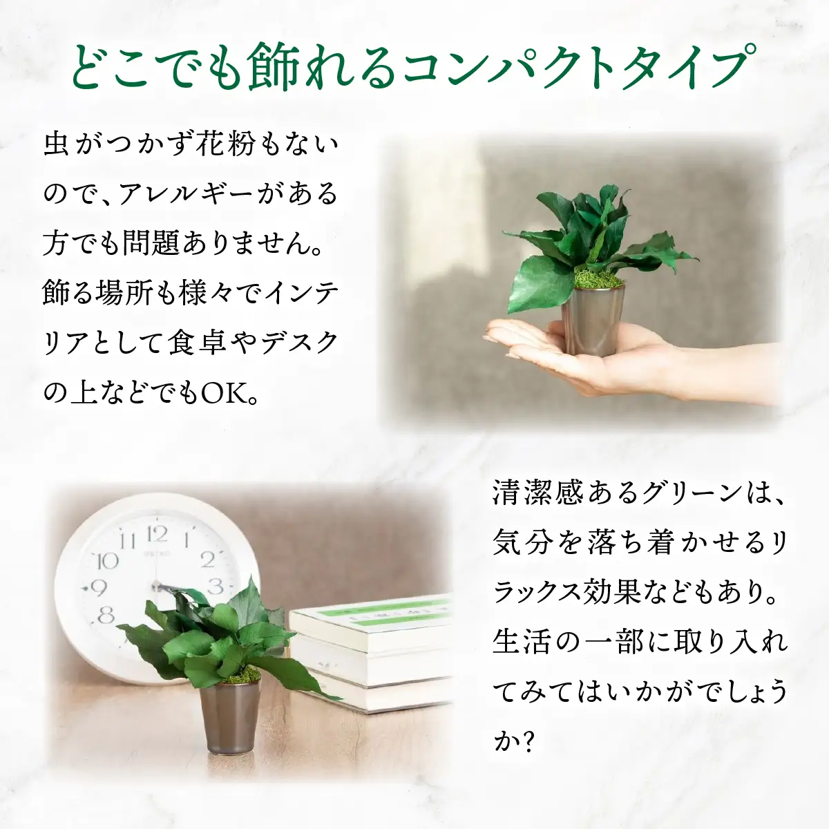 プリザーブドインテリアグリーン アイビー