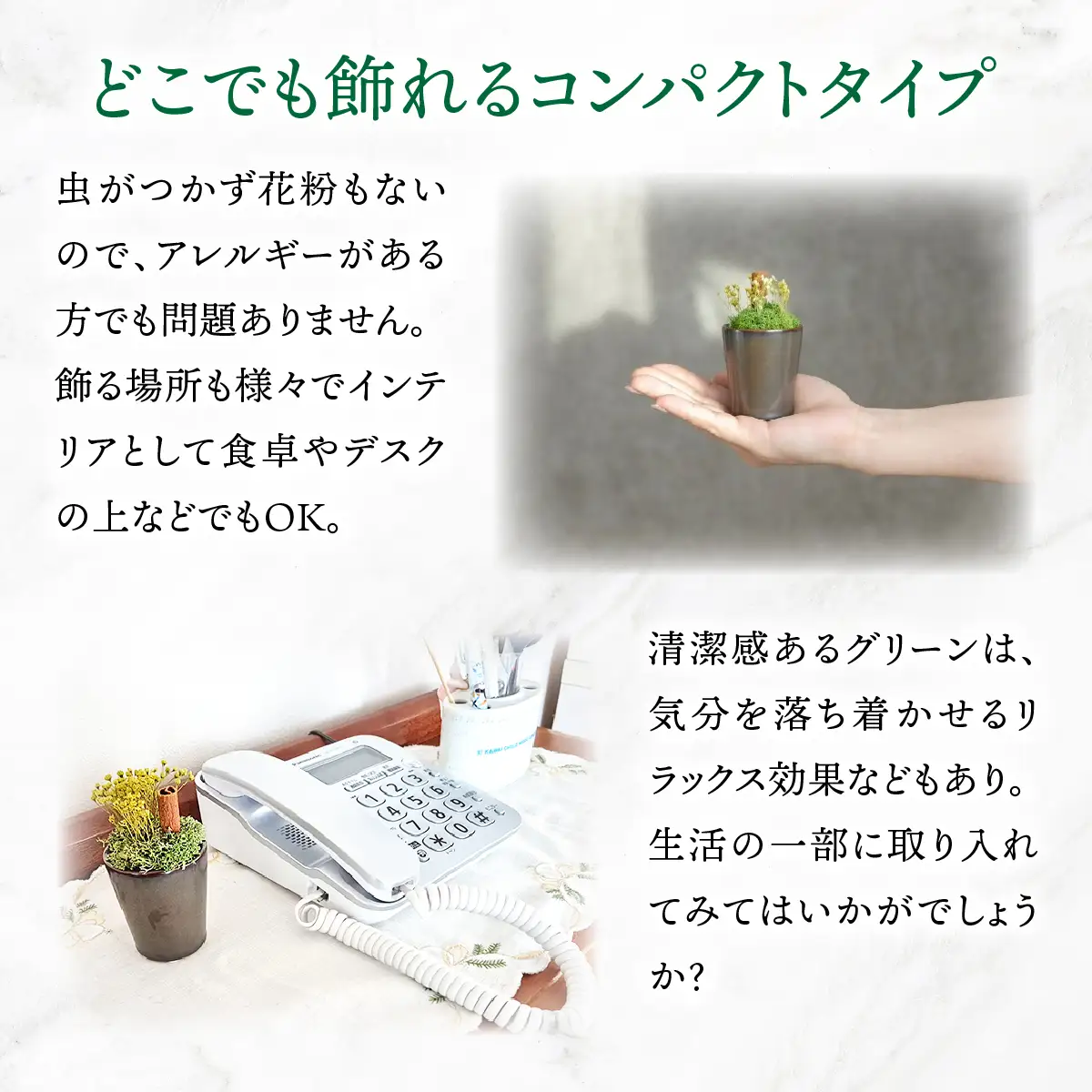 プリザーブドインテリアグリーン ふんわりモス
