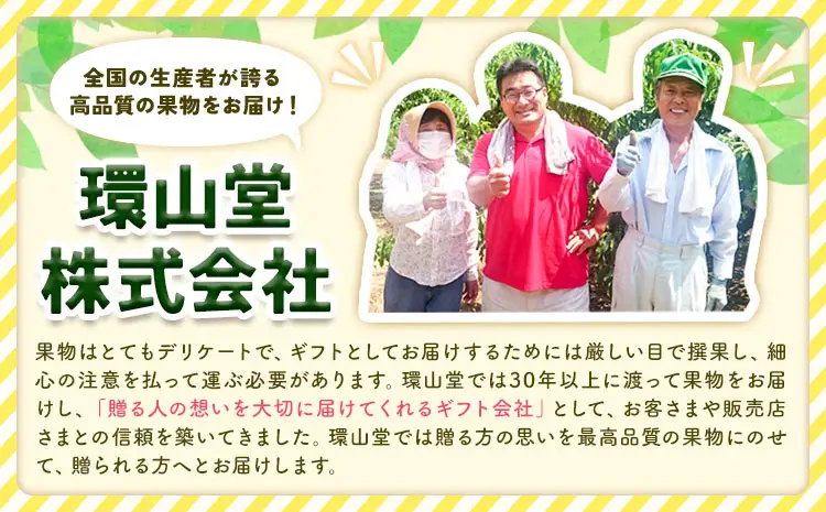 【2027年先行予約】冬ぶどう「紫苑」 2房 約1.2kg 環山堂株式会社 ぶどう
