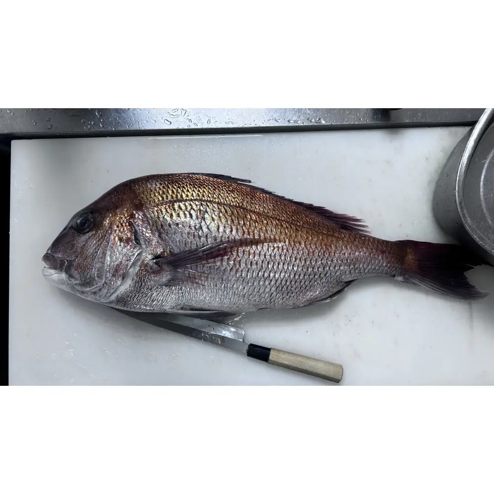 鯛の味噌漬け 7切入