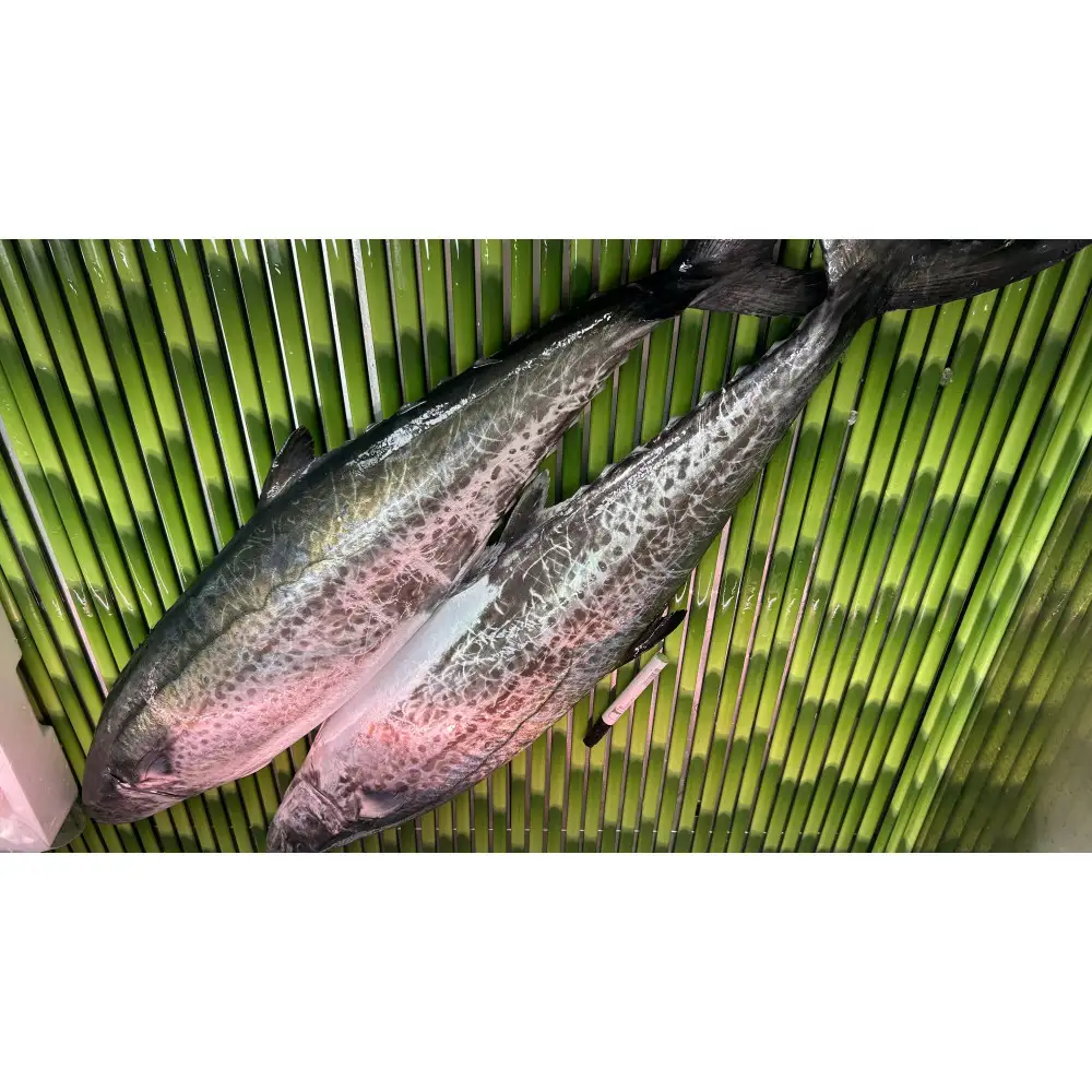 鰆の味噌漬け 10切入