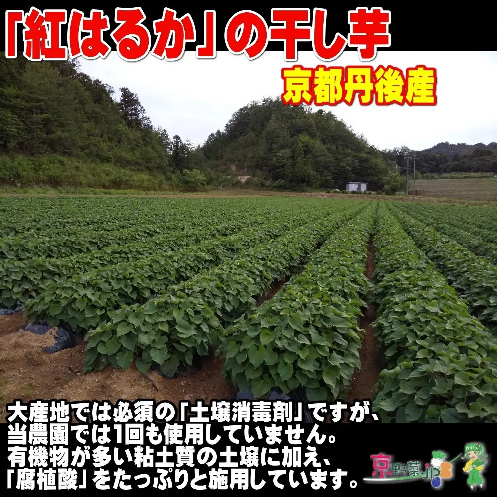 紅はるかの干し芋（京都産） 150g×3パック入