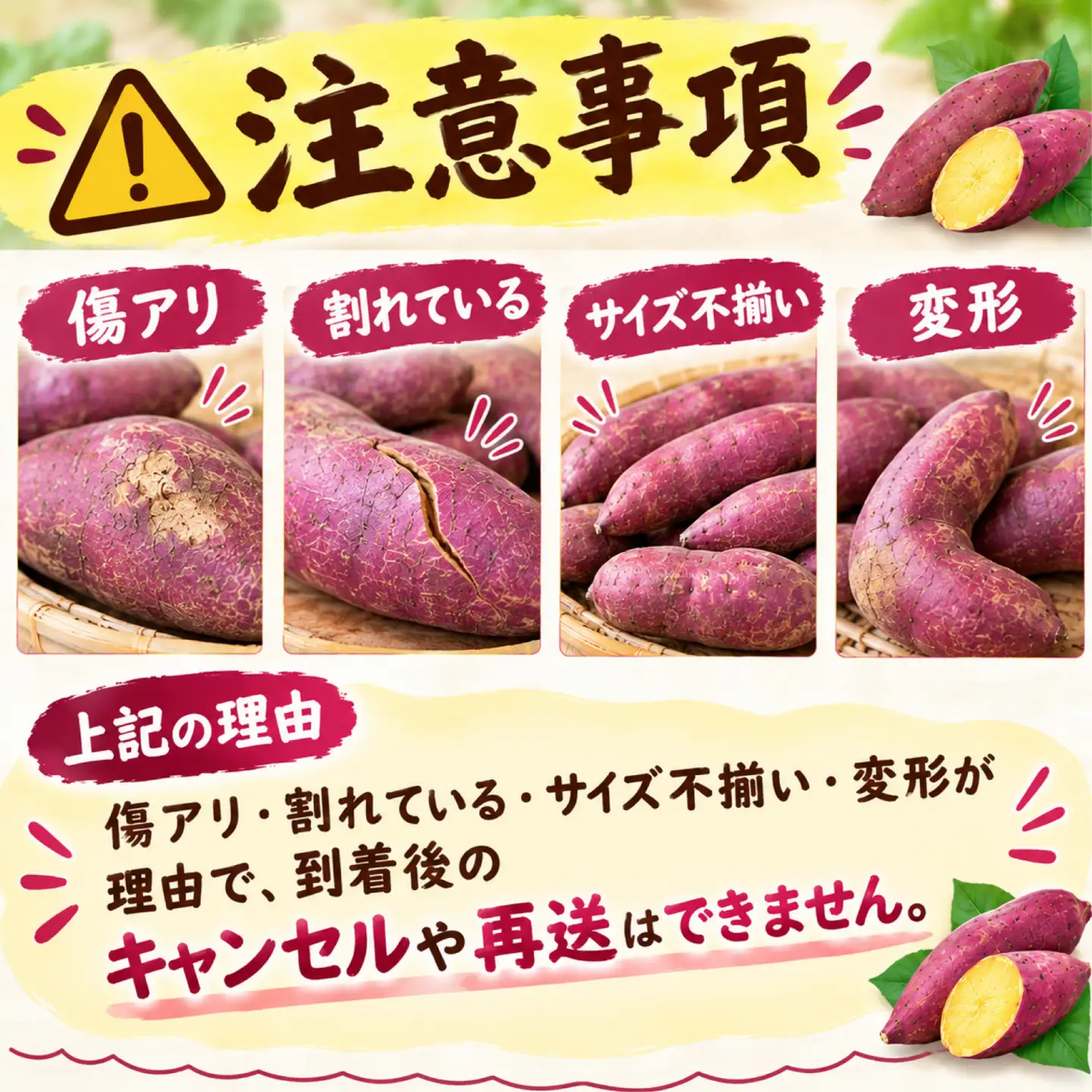 【予約受付中】 訳あり 三島甘藷 約10kg 紅はるか さつまいも 