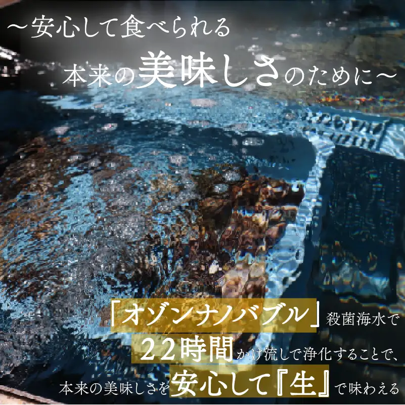 殻付き牡蠣 生食可 5kg 南三陸 宮城 女川 岩沼市