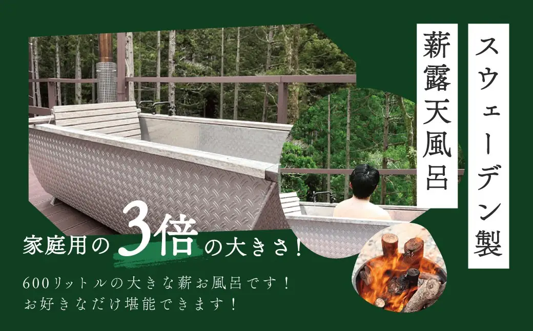 藤井わさび園のわさびビレッジ「トレーラーハウス宿泊補助券（30,000円分）」[0741006]