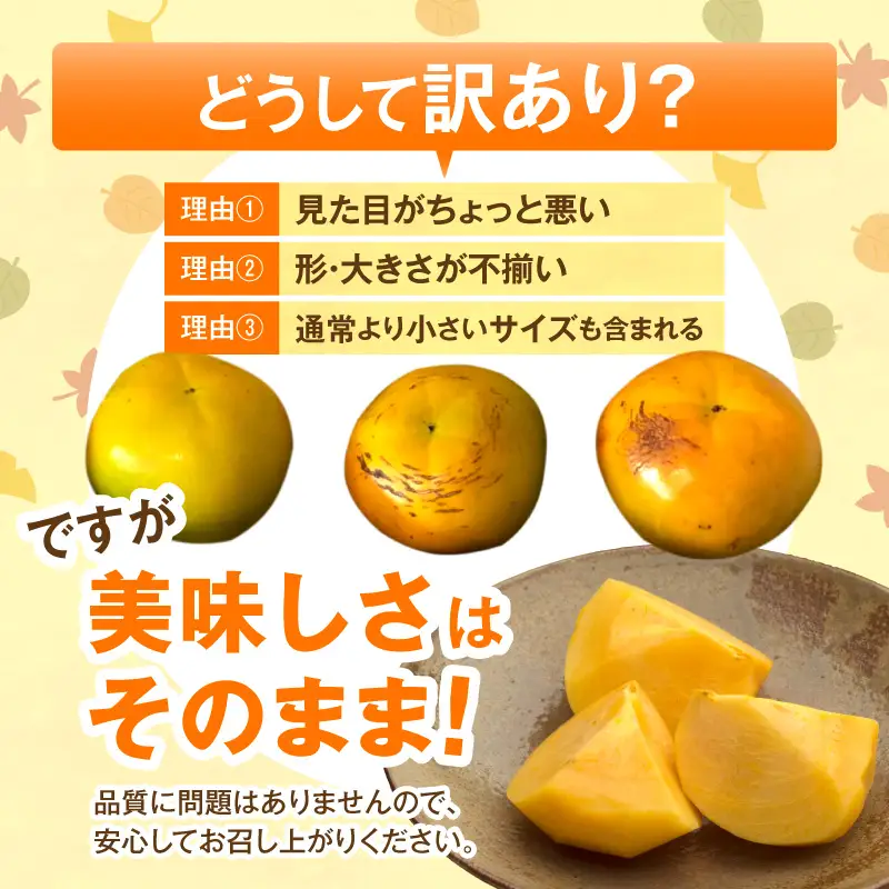 【先行受付】 訳あり 太秋柿 6kg こねり柿園こだわりの『よのちゃん太秋柿』 _KNR0408