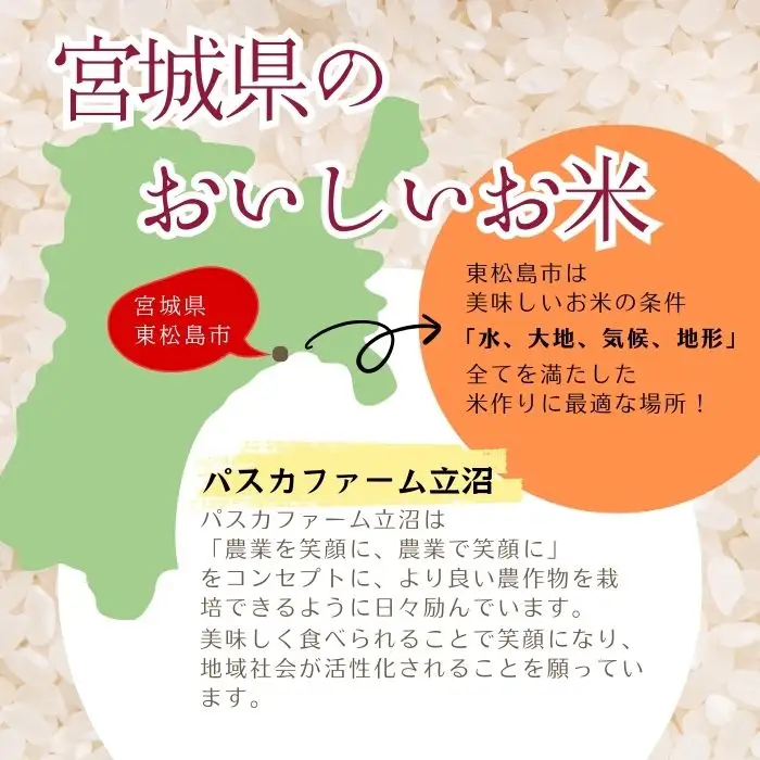 【先行予約】【令和8年産】【新米】【令和8年10月中旬～順次発送】 ササニシキ 玄米 30kg C｜ササニシキ