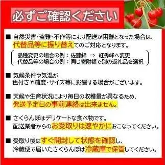 【令和9年産先行予約】 さくらんぼ 「佐藤錦」 約700g (秀 2L以上) バラパック詰め 《令和9年6月上旬～発送》 『生産者 佐藤 勇二』 サクランボ 果物 フルーツ 産地直送 [1957]