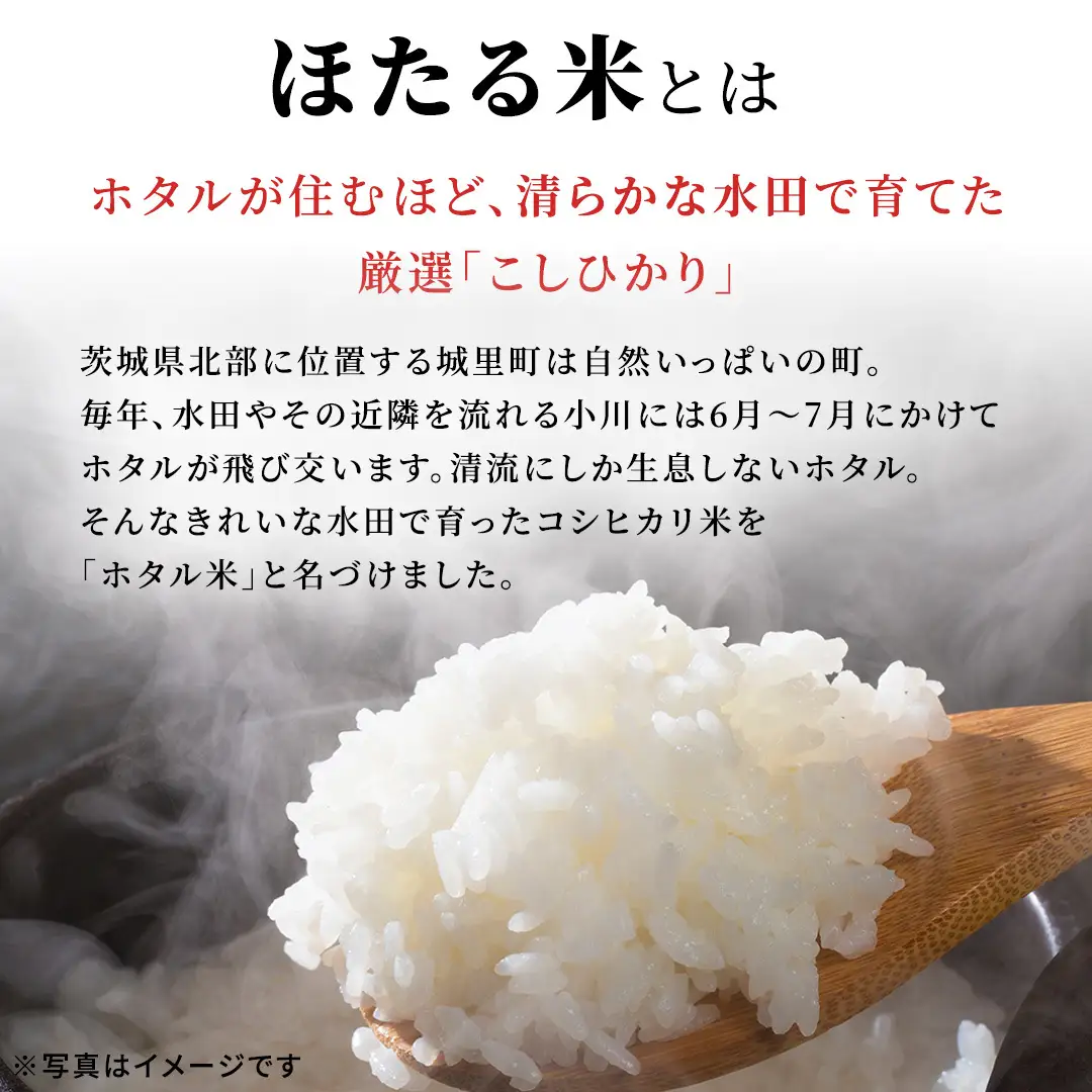 ≪新米≫【無洗米】コシヒカリ ホタル米 15kg 令和8年産  (AX086)