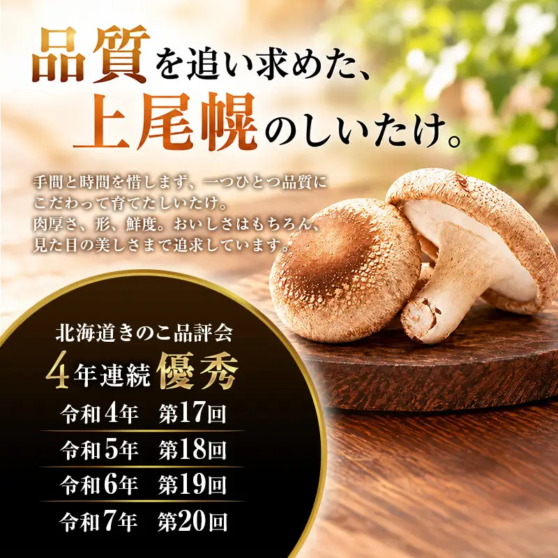 訳あり 椎茸 北海道 厚岸町 上尾幌 朝どれ 菌床 しいたけ 「極茸」 バラ 2kg 【上尾幌きのこ生産協同組合】[ きのこ キノコ 新鮮 肉厚 国産  品評会で金賞受賞 ]