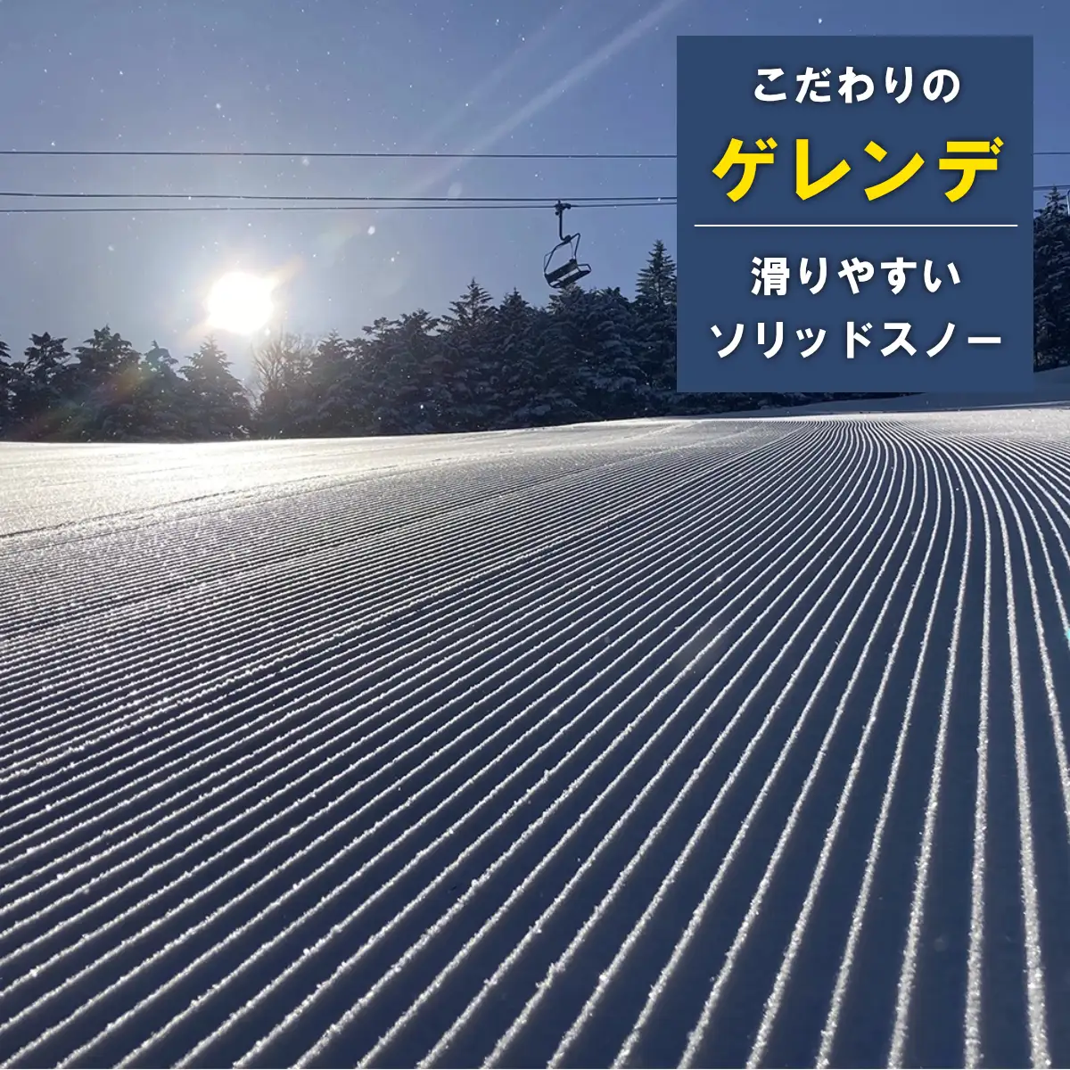 【2026-2027】ブランシュたかやまスキーリゾート 小学生リフトシーズン全日券 スキー場 雪山 ウインタースポーツ 安心 安全 ファミリー 遊べる 雪遊び わんぱ～く