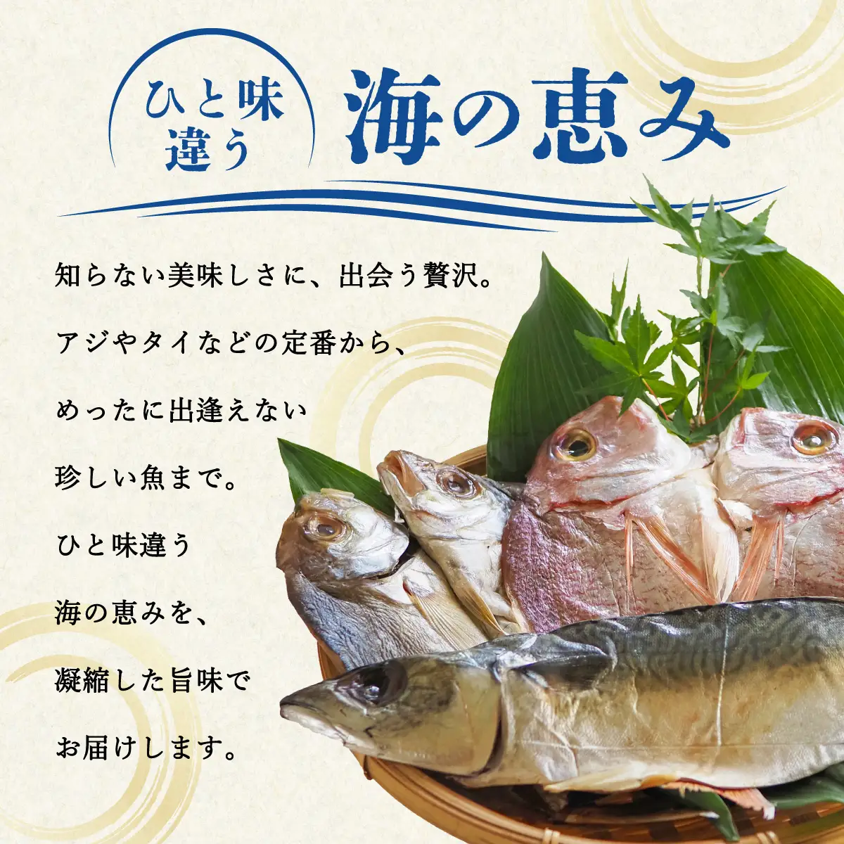 お魚の干物 ５種