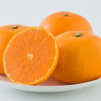 【全3回】愛媛の離島「中島」産柑橘食べきり定期便 1.5kg | 甘平 せとか カラマンダリン【FA125】