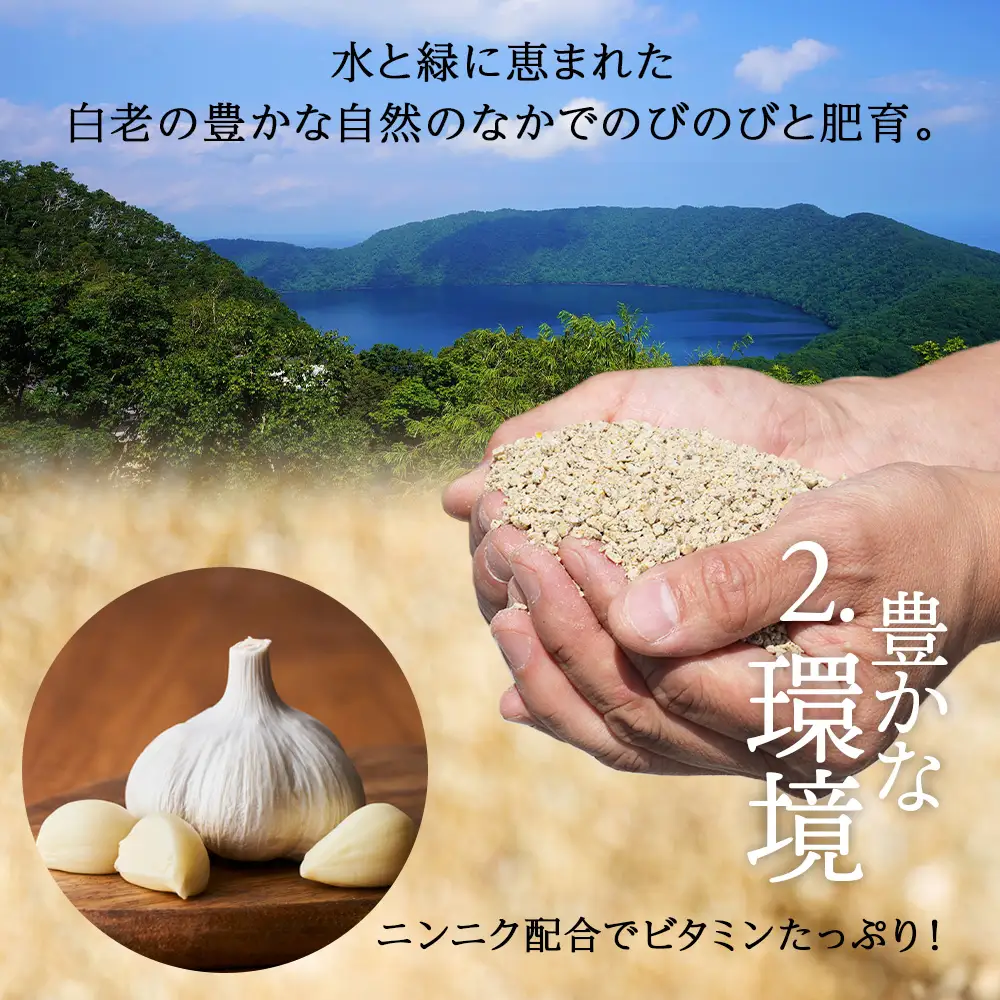 【11月発送】北海道産 白老豚 バラ スライス 300g×4パック BV008