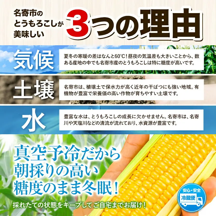 【先行予約】とうもろこし なよろ ホワイト 10kg 北海道 名寄 スイートコーン