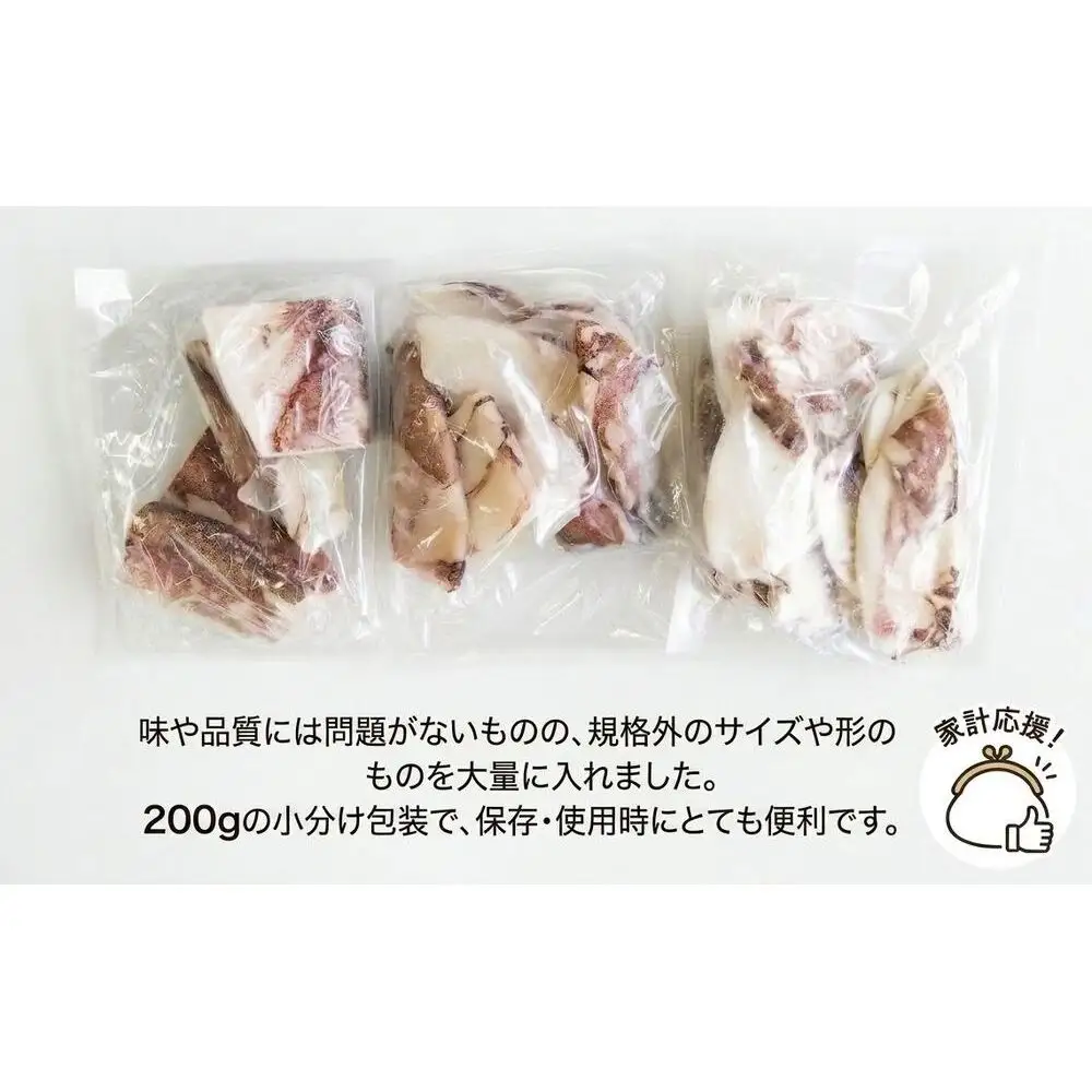【 訳あり 】 石巻産 ふぞろい ヤリイカ 一夜干し 1.6kg （200g ×8パック） やりいか イカ いか 烏賊 小分け 魚介類 海鮮 おかず おつまみ わけあり 訳アリ 宮城県 宮城 石巻市 石巻