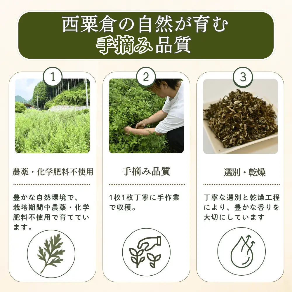 国産よもぎ湯 20g×5包 よもぎ100% 無添加 農薬不使用 よもぎ風呂 蓬湯 薬草風呂 薬草湯 入浴剤 ヨモギ 蓬 岡山県産 L-cO-A03A