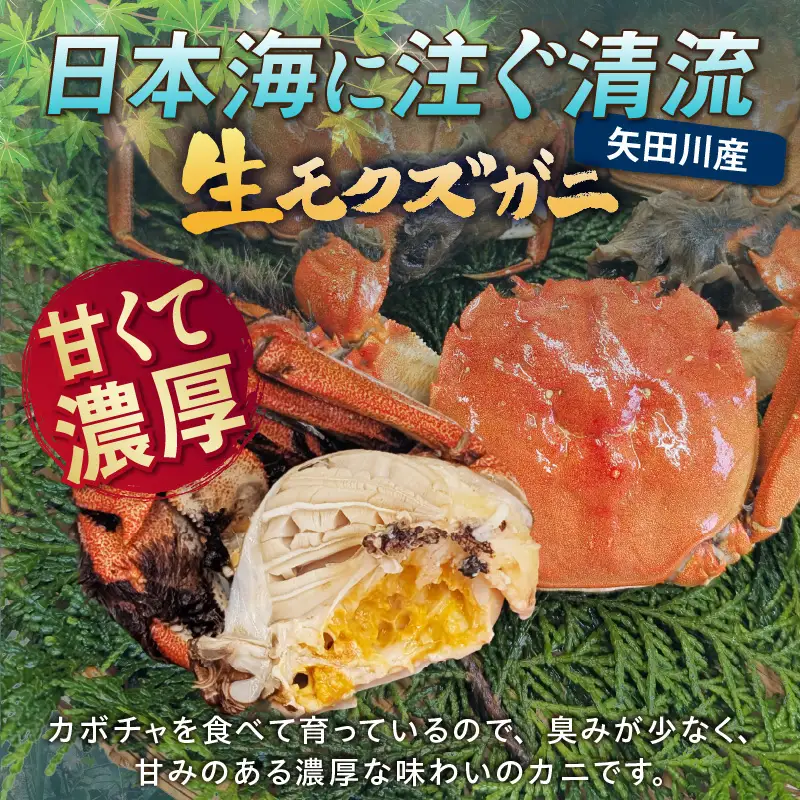 天然 生モクズガニ 約1kg 冷凍 74-34