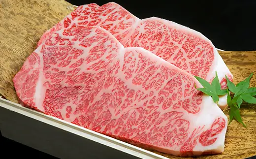 【期間限定】特選近江牛定期便（３カ月）竹コース（近江牛マスター上級編）【ZZ57W】