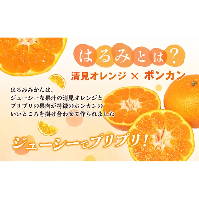 【数量限定 先行予約】愛媛県産 はるみ 約5kg[50R0824] 【高島屋選定品】秀M～２Lサイズ 1月下旬頃～順次発送＜ギフト 高級 甘い みかん フルーツ＞[No.53030335]
