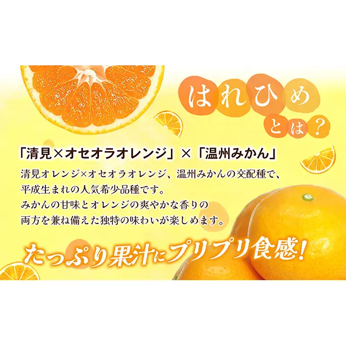 【数量限定 先行予約】愛媛県産 はれひめ 約5kg[50R0813] 【高島屋選定品】M～2L サイズ＜ギフト 甘味 濃厚 みかん フルーツ＞[No.53030336]