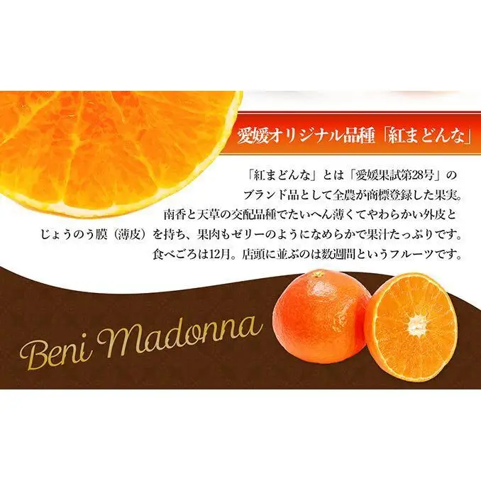 【数量限定 先行予約】愛媛県産 紅まどんな2.7kg[50R0986]【高島屋選定品】青秀 M～３Lサイズ（10～16玉）12月上旬頃～順次発送 ＜ギフト 正規品 甘い みかん フルーツ＞[No.53030337]