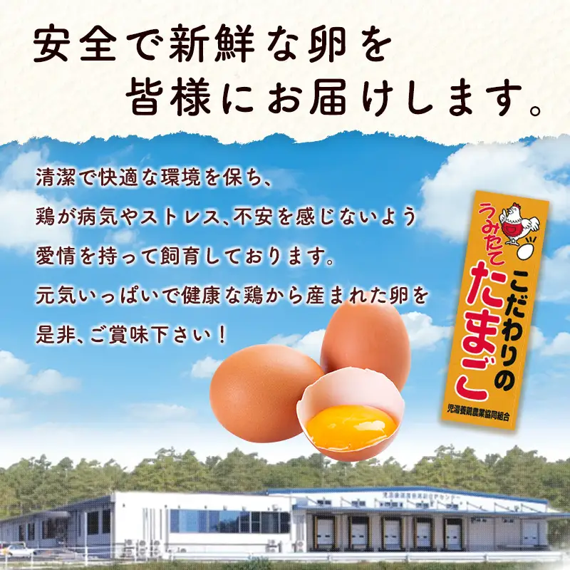 2027年3月開始 児湯養鶏自慢の卵ネッカリッチ赤たまご「児湯一番」 計120個 （20個入×2箱）×3か月定期便【C55-2703】