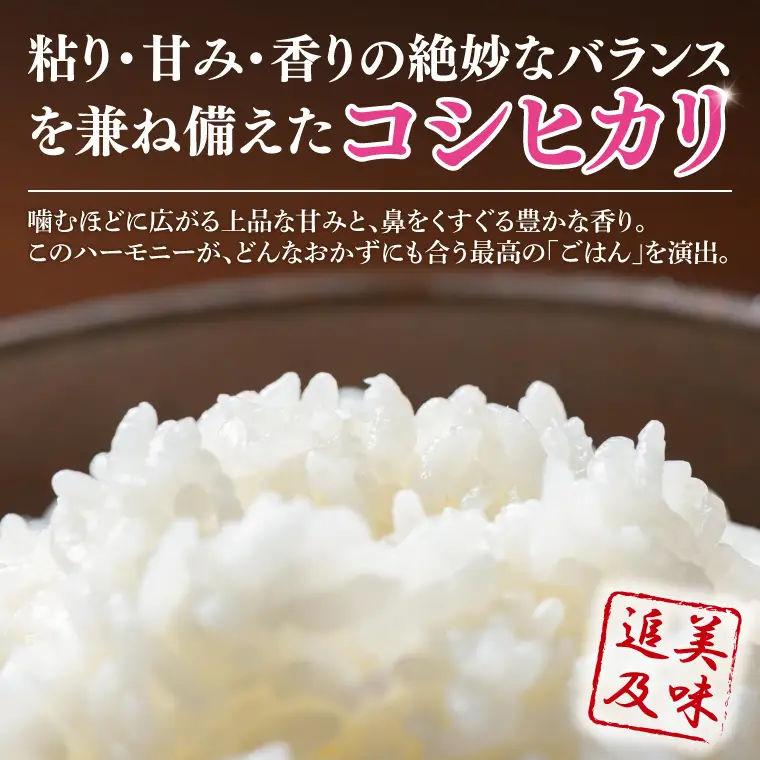【10月より順次発送】【数量限定】 令和8年産 【3ヶ月定期便】美味追求 茨城県産こしひかり 10kg（5kg×2）×3回 (NA-17)
