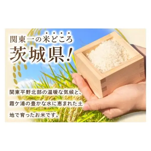 米 農家の美味しいお米 精米 5kg 令和8年産 茨城県産 阿見町産 お米 こめ コメ ごはん 白米 茨城県産米 単一米 単一原料米 安心 安全 送料無料 国産 人気 数量限定 （85-R8a073_08）
